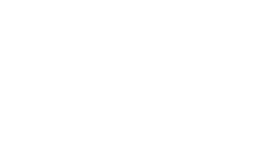 SimFalcon